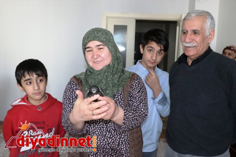 Ağrı'da eve giren ebabil kuşunun bir günlük misafirliği çocukları sevindirdi
