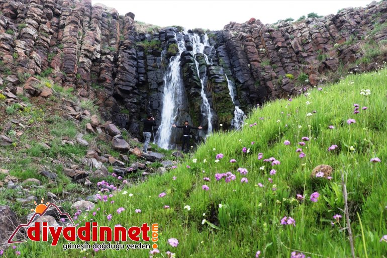 kar şelale sularıyla görsel şölen sunuyor beslenen Ağrı