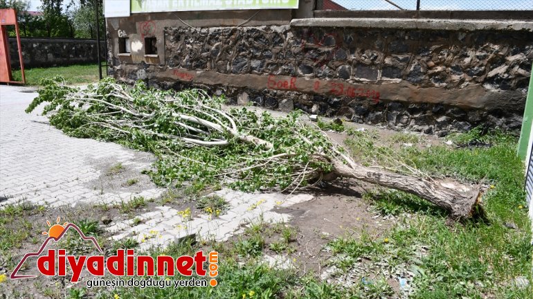 şiddetli rüzgar yol açtı Ağrı