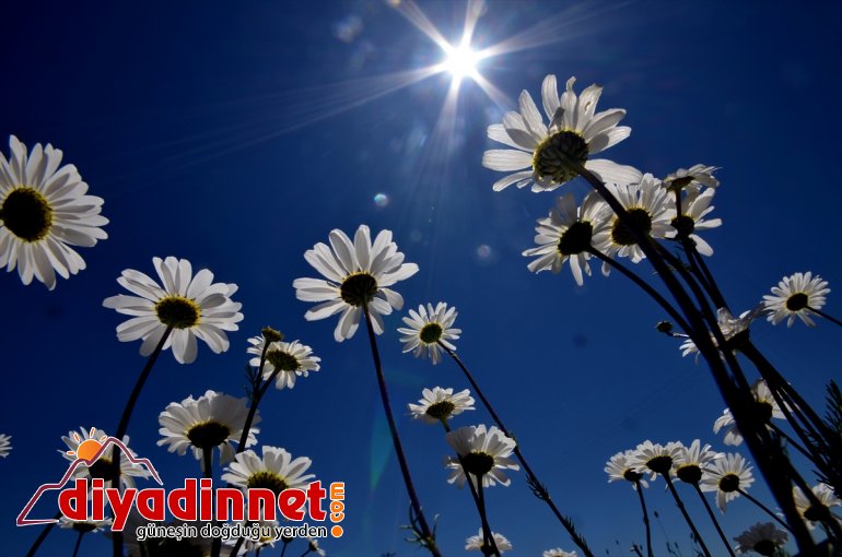 Kars el değmemiş doğasıyla göz kamaştırıyor