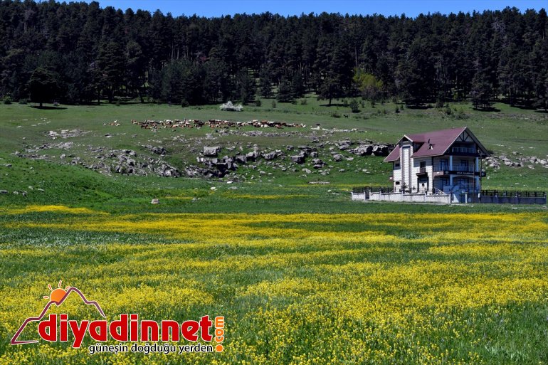 Aygır  Gölü kamaştırıyor göz ilkbahar