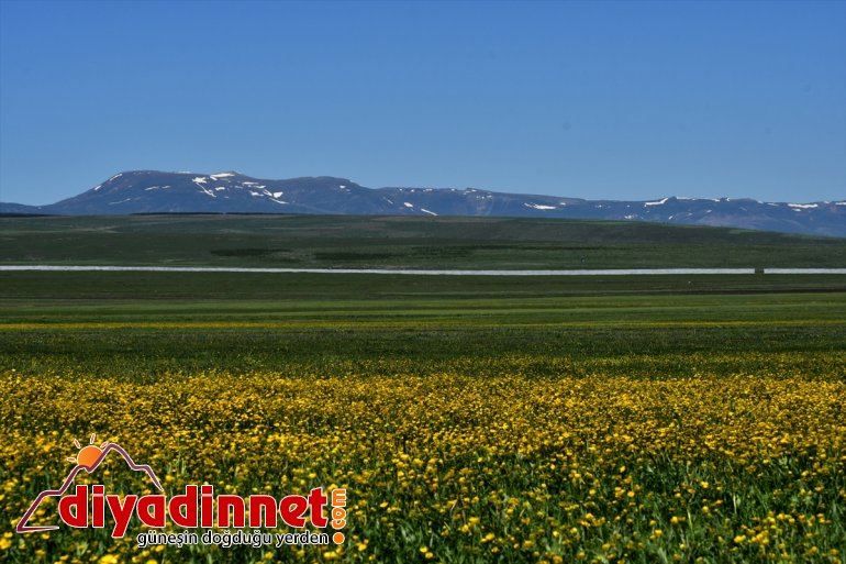 göz kamaştırıyor ilkbahar