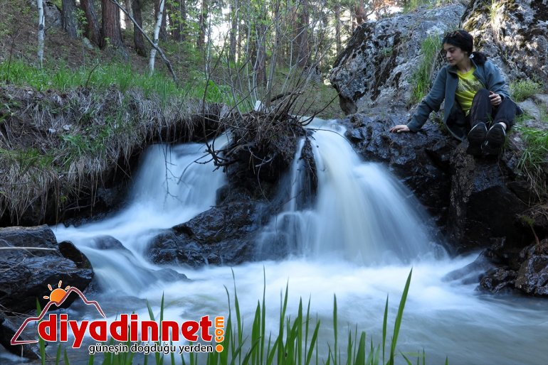  Gölü kamaştırıyor Aygır göz ilkbahar