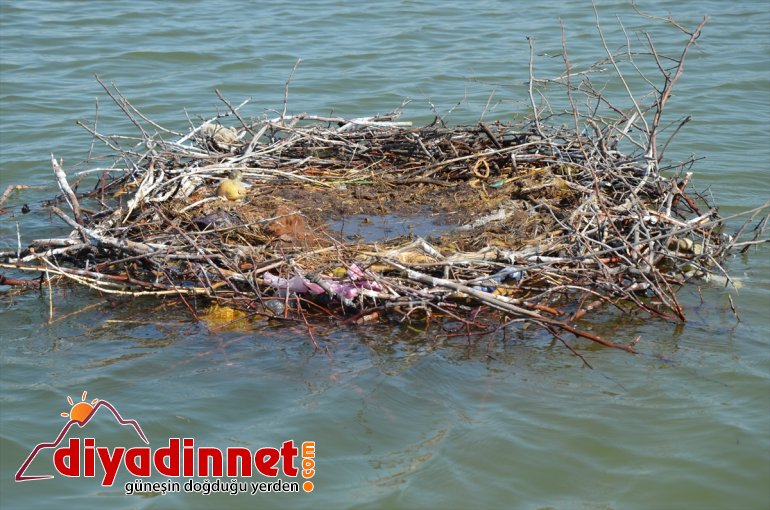 yavru 4 MUŞ Barajda oldu - leylek seviyesinin su yükselmesiyle telef 2