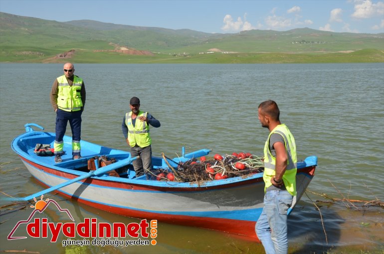 su yavru - MUŞ Barajda 4 seviyesinin leylek oldu telef yükselmesiyle 4
