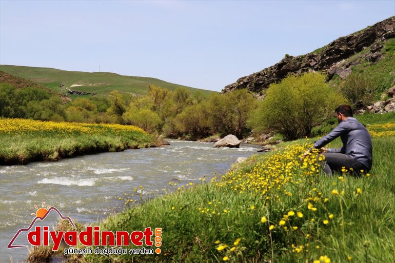 düğün renklendi Ağrı çiçekleriyle 3