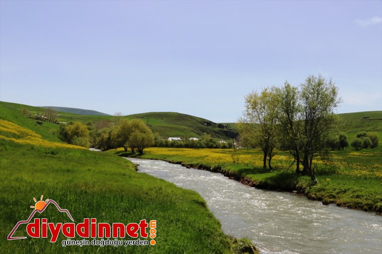 renklendi düğün çiçekleriyle Ağrı 4