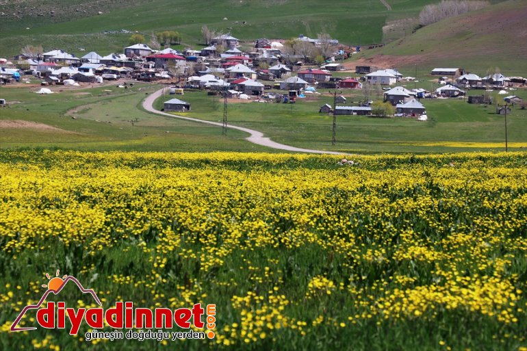 çiçekleriyle Ağrı düğün renklendi 13