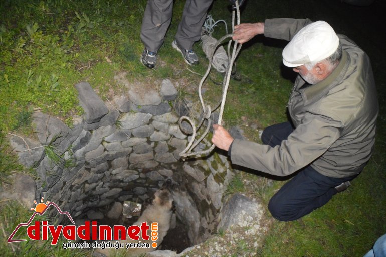 kuyudan kurtarıldı çıkarılan köpek da başka gebe bir düştüğü Kuyudan 4