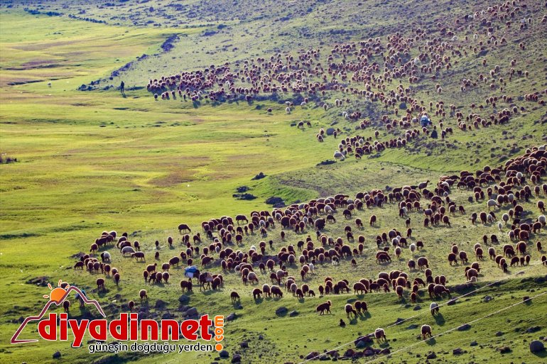 Göçerler yaylaya çıkmak için dağlardaki karların erimesini bekliyor