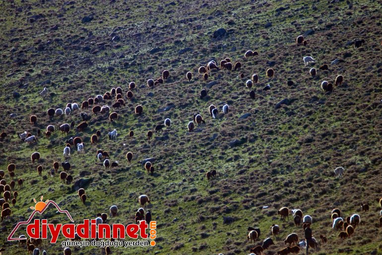 dağlardaki Göçerler yaylaya çıkmak bekliyor karların erimesini için 4