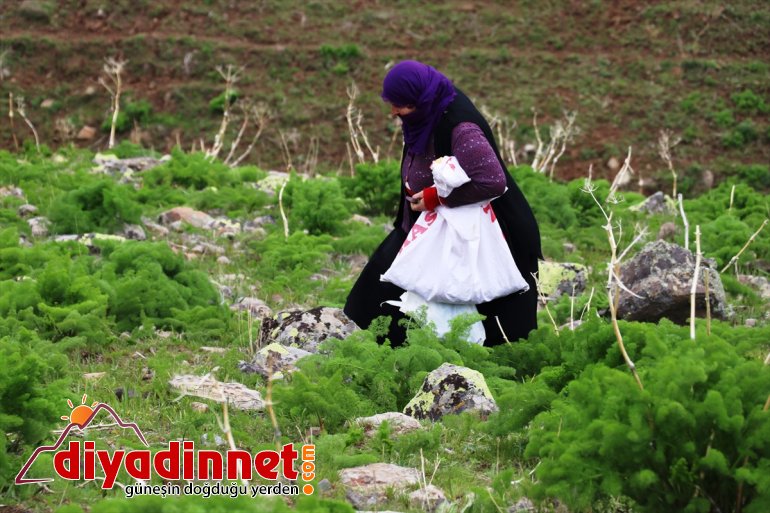 Dağlardan gelen lezzetler iftar ve sahur sofralarını süslüyor