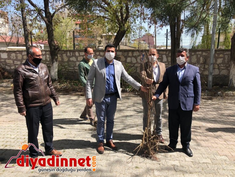 Diyadin Kaymakamı Doğan, 2 bin meyve ağacını vatandaşlara dağıttı