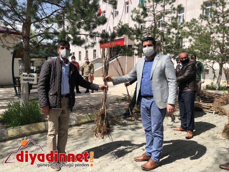 Diyadin Kaymakamı Doğan bin meyve ağacını vatandaşlara dağıttı3