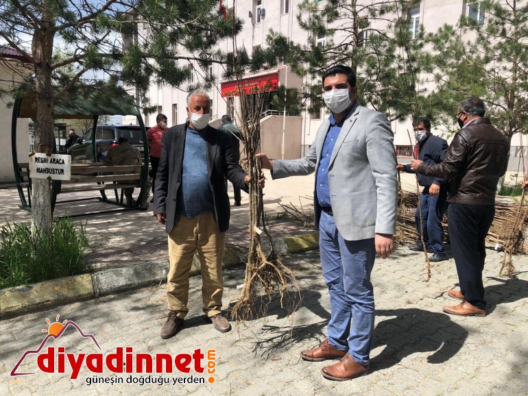 Diyadin Kaymakamı Doğan bin meyve ağacını vatandaşlara dağıttı4