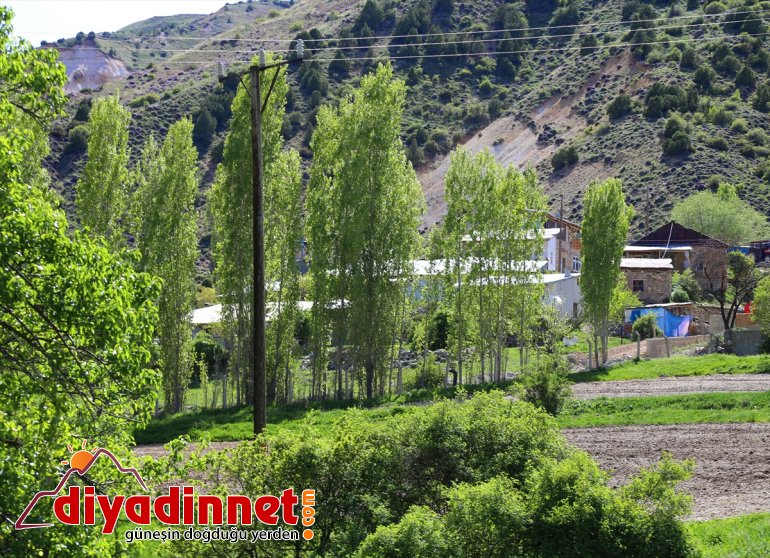 Erzurum'da bir mahalle karantinaya alındı