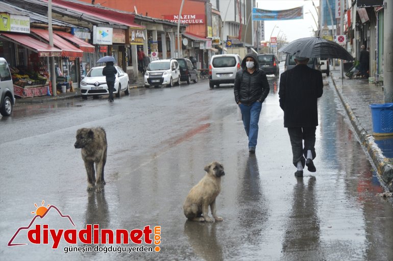 sağanak yaşamı etkiledi Ağrı