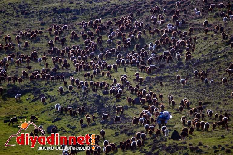 karların dağlardaki için çıkmak yaylaya erimesini bekliyor Göçerler 3