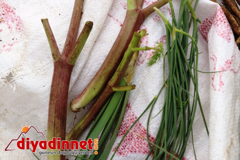 Dağlardan ve AĞRI sahur süslüyor sofralarını gelen iftar - lezzetler 9