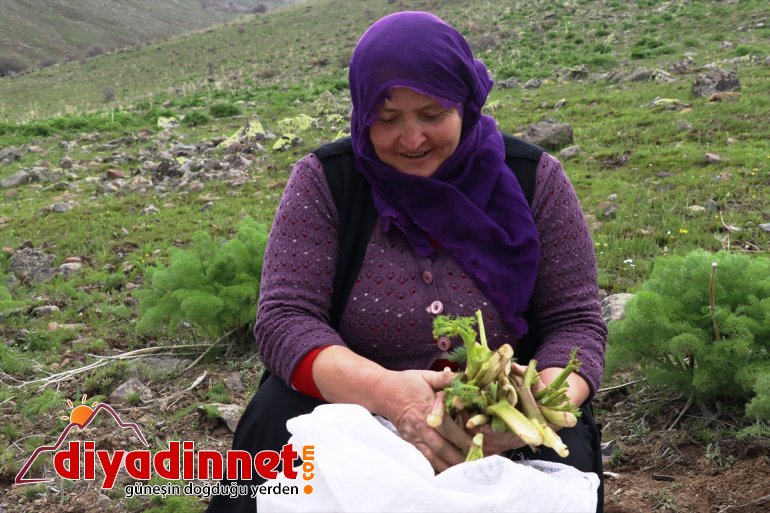 süslüyor sahur gelen Dağlardan iftar lezzetler - sofralarını AĞRI ve 2