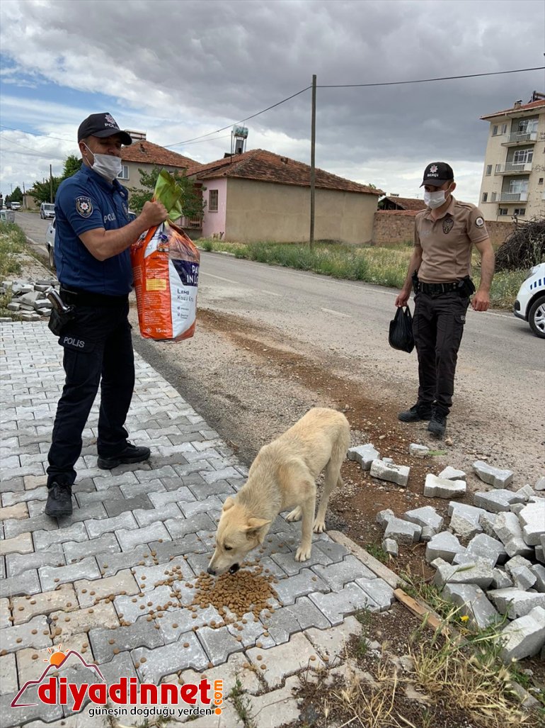 Malatya'da polis ekipleri sokak hayvanları için yem bıraktı