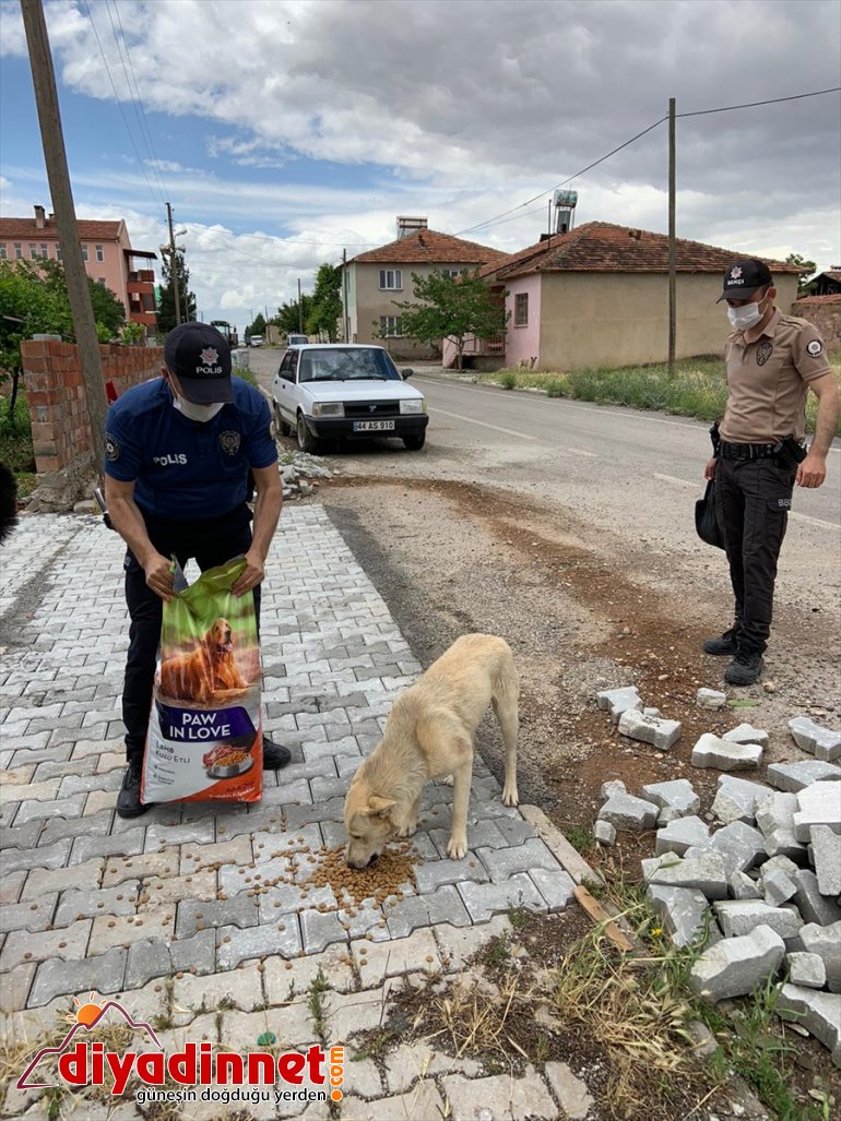 için ekipleri polis hayvanları yem Malatya
