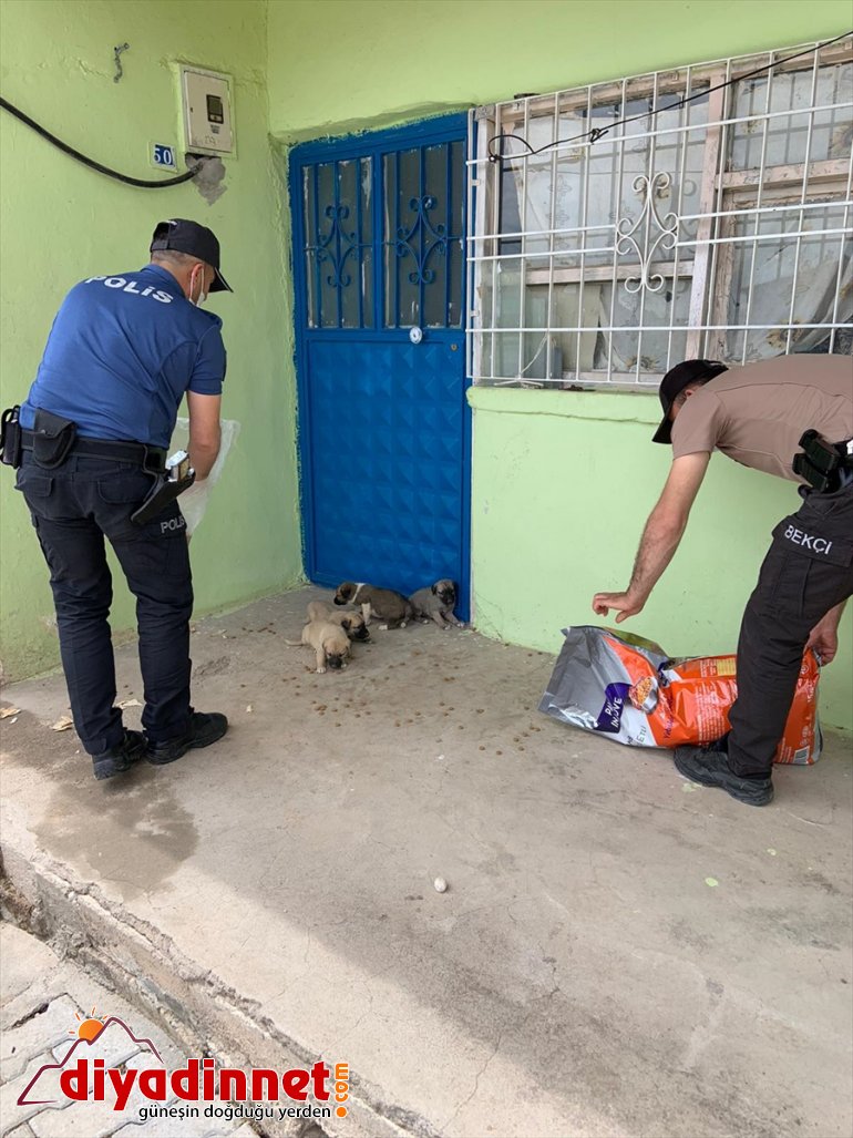 ekipleri polis bıraktı için Malatya