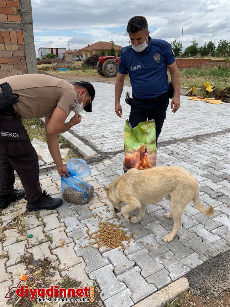 yem sokak polis hayvanları bıraktı Malatya