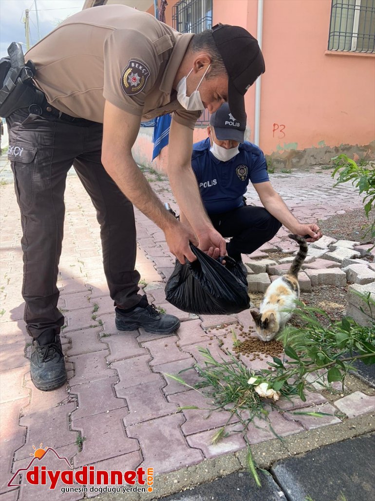 hayvanları için bıraktı ekipleri polis yem sokak Malatya