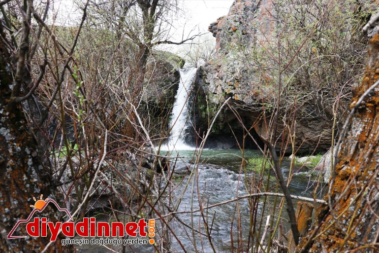 Ağrı'daki Bekiran Şelalesi'nde ilkbahar güzelliği