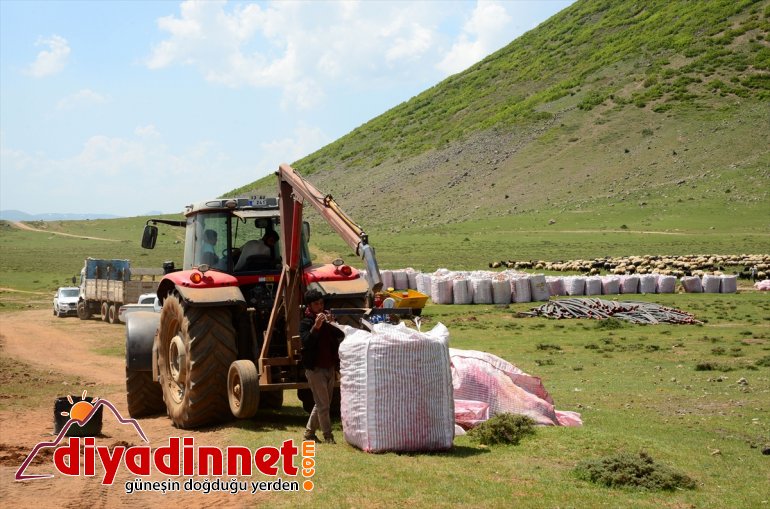 başlandı Sertifikalı patates ekimine BİTLİS - tohumu 2