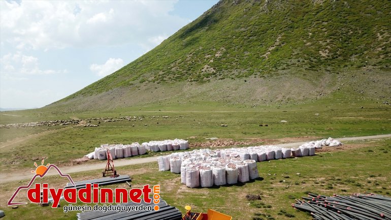 BİTLİS tohumu patates başlandı ekimine Sertifikalı - 12