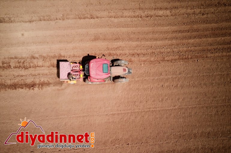 başlandı patates BİTLİS - ekimine tohumu Sertifikalı 16