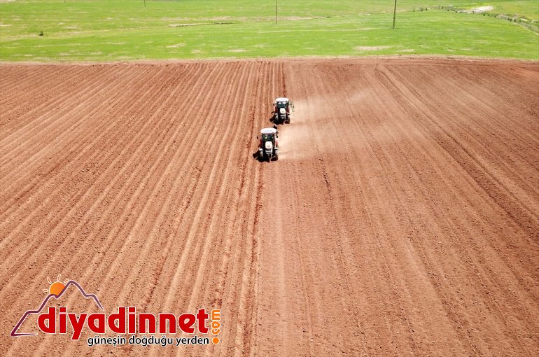 BİTLİS - Sertifikalı ekimine başlandı patates tohumu 18