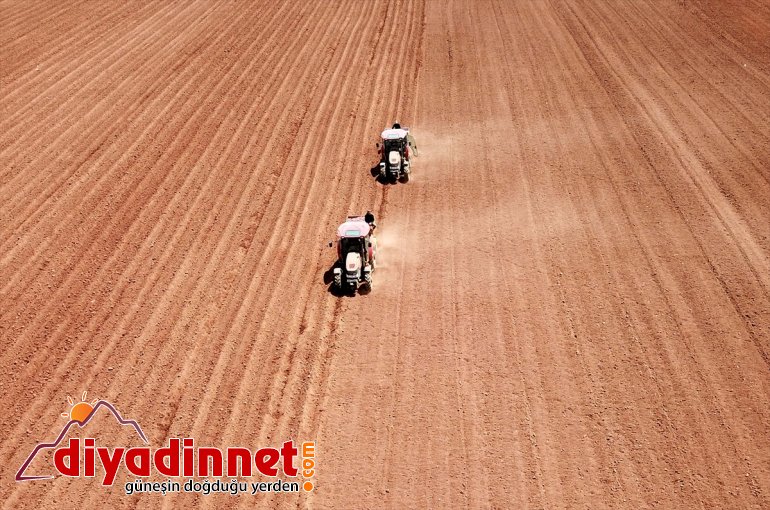 ekimine patates tohumu BİTLİS Sertifikalı başlandı - 19