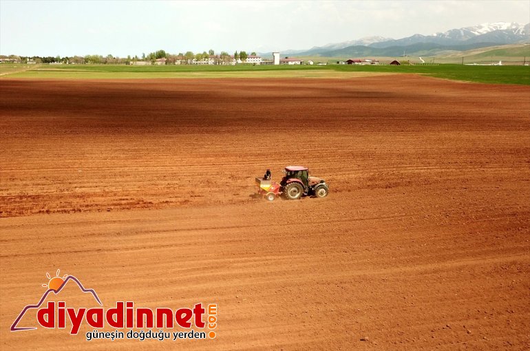 tohumu - Sertifikalı ekimine BİTLİS patates başlandı 21