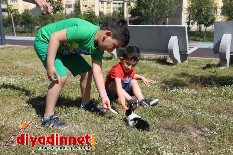  çıkardı sıcak  havanın çocuklar Bingöllü tadını 9