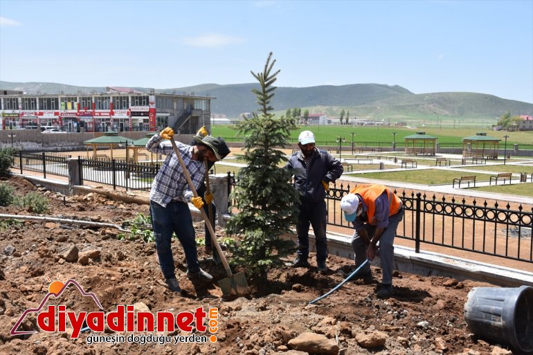 Tatvan'da 250 ağaç dikildi