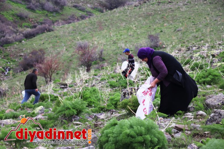 - Dağlardan gelen sofralarını iftar AĞRI lezzetler süslüyor ve sahur 8