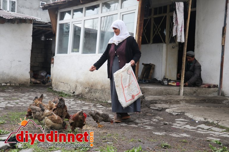 omuzluyor bireylerinin felçli hasta engelli aile anne, Aliye Kısmi ve AĞRI - yükünü 2