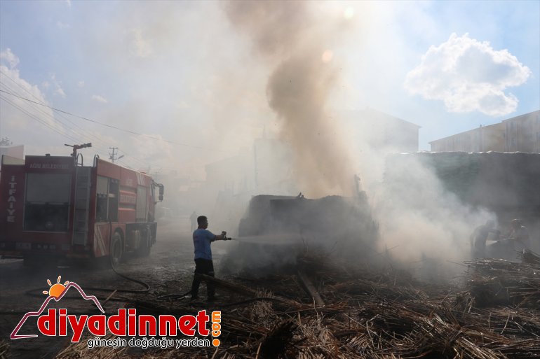 Ağrı'da 600 bağ kamış yandı