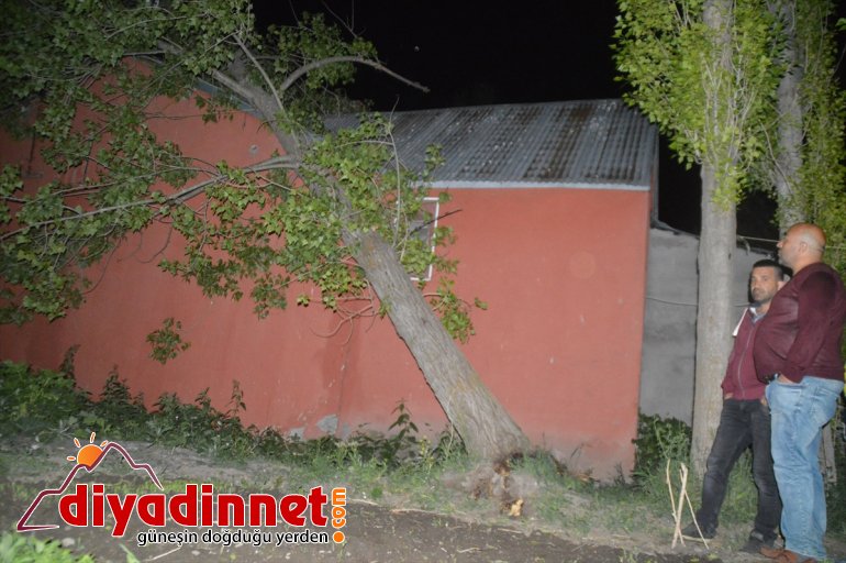 Ağrı'da bir evin üzerine devrilen ağaç hasara yol açtı