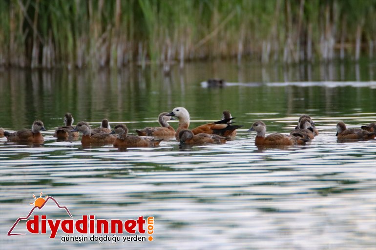 sadık da kaldı Milli Parkı