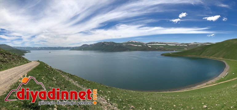 Balık Gölü Doğu Anadolu'daki martıların yuvası oldu