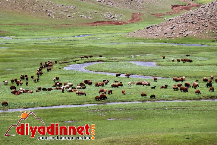 Bir yanı kar bir yanı bahar yaylada göçerlere soğuk engeli2