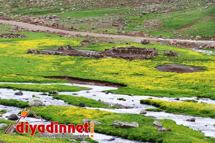 Bir yanı kar bir yanı bahar yaylada göçerlere soğuk engeli3