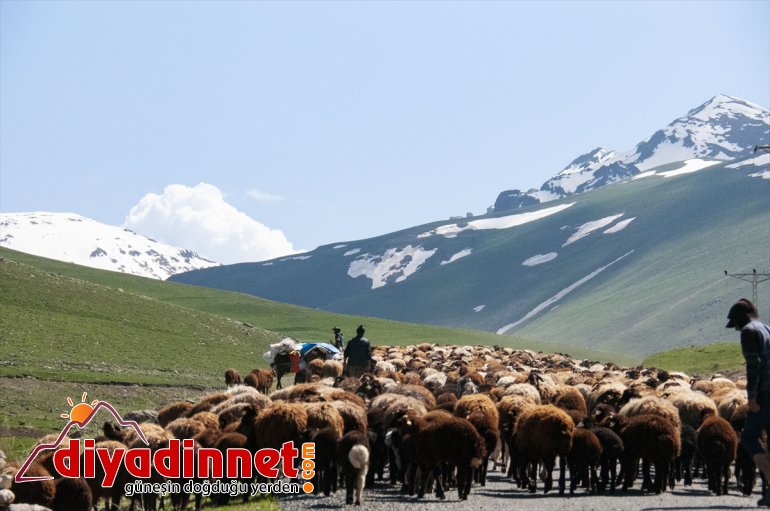 Doğu'nun verimli yaylaları göçerlerlerle şenlendi