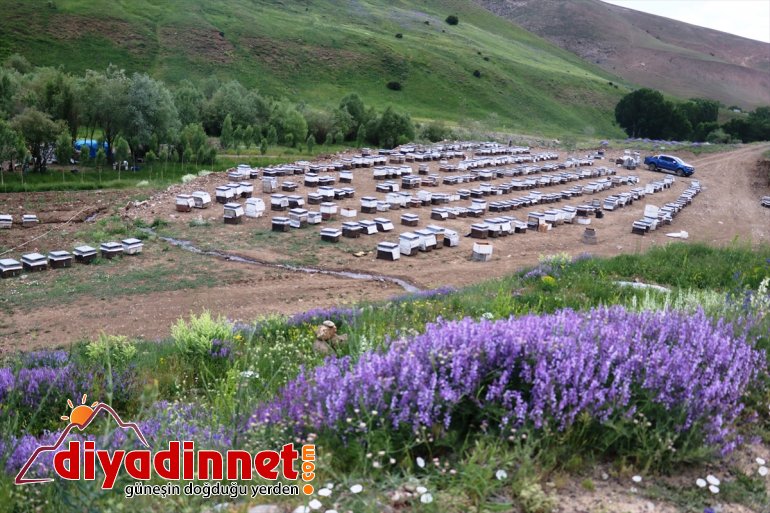 tuttu kaliteli dağlarını için Ağrı