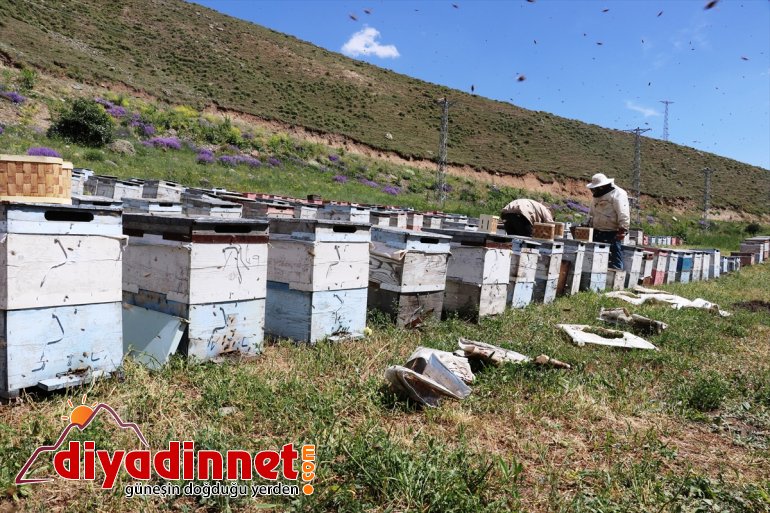 arıcıları tuttu kaliteli mesken Ağrı