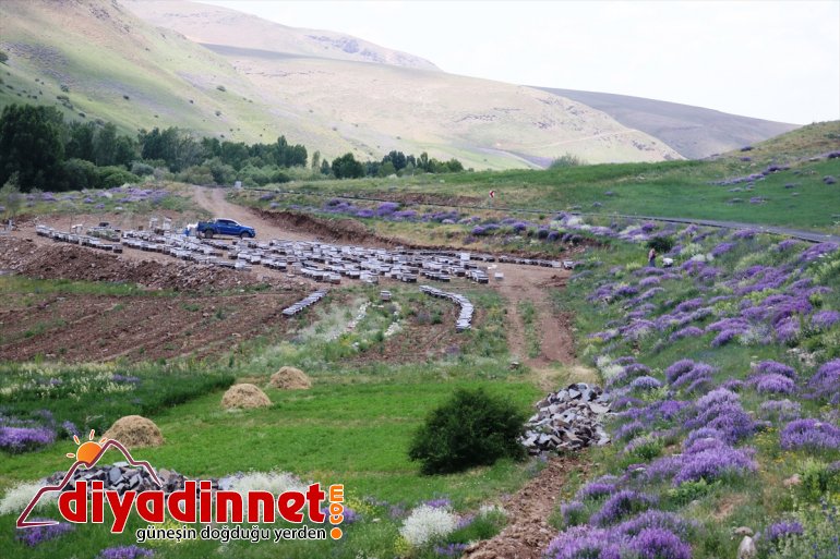 bal göçer mesken tuttu için Karadeniz